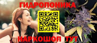 PSILOCYBIN Моздок