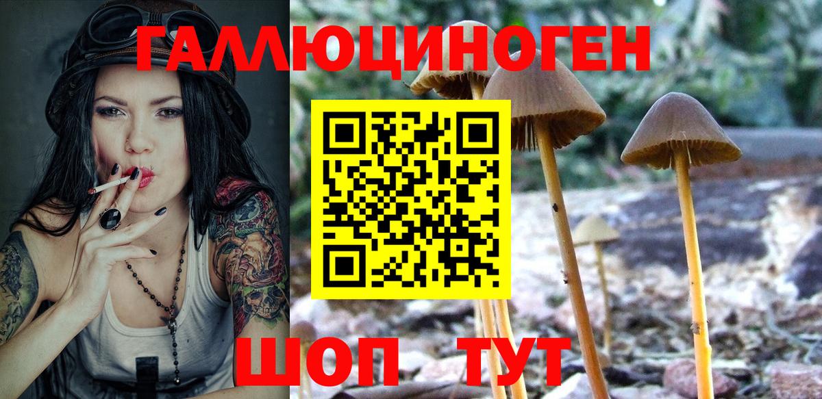 Галлюциногенные грибы прущие грибы Великие Луки